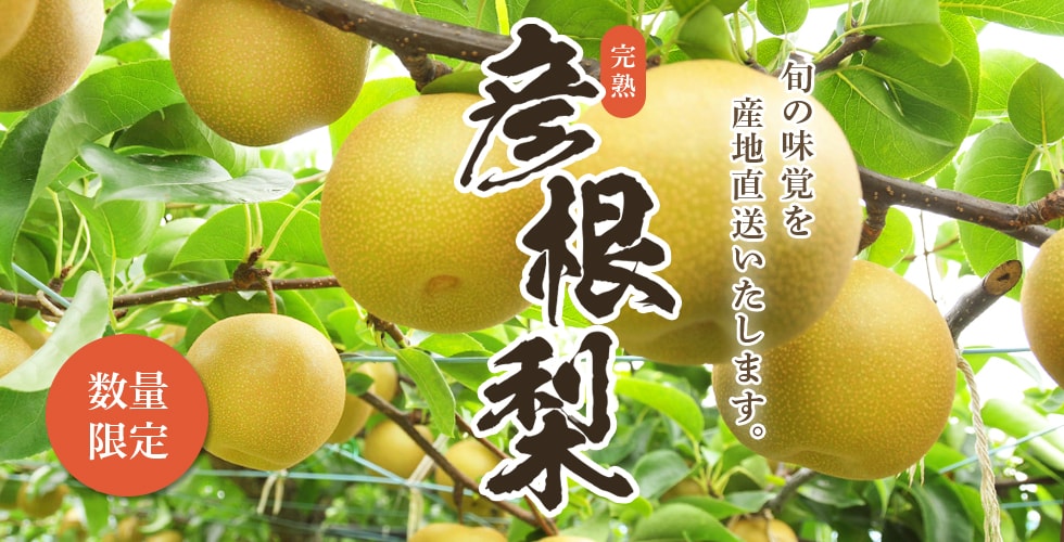 彦根梨